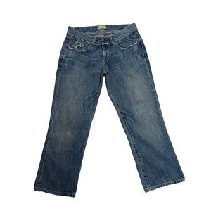 BKE Denim Jeans Womens size 29 straight leg style BXL135